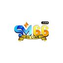 sm66cam