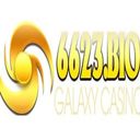 web6623bio