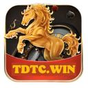 tdtcwin