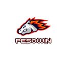PESOWIN