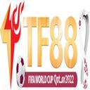 tf88winsite