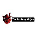 thefantasyninjas