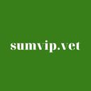 sumvip-net