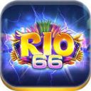 RIO66CC